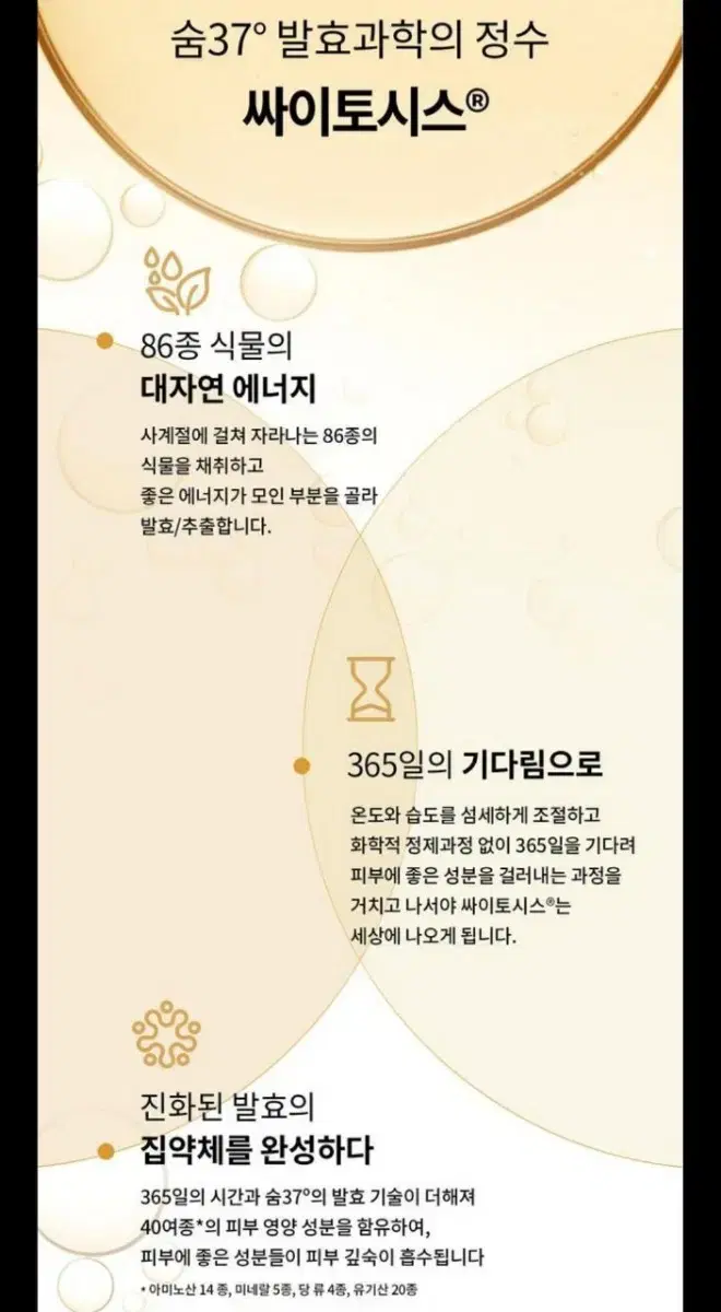 thumbnail-11